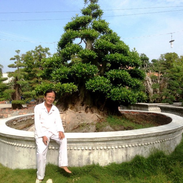 
Nghệ nhân Ba Hùng và cây Cà Na mua về từ Campuchia, trị giá hàng chục tỷ đồng (Ảnh: Thăng Long)
