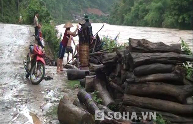 Những đống củi đầy ắp như thế này là thành quả của người dân suốt 1 ngày ngụp lặn dưới dòng sông, bất chấp nguy hiểm.