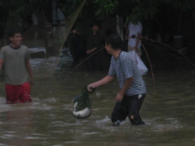 Hình ảnh ghi lại tại Hà Đông năm 2008. Thanh niên bắt cá ngay trên đường phố. Ảnh: Hoàng Đan