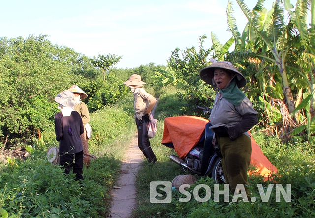 Những nông dân nơi đây hết sức mừng vui vì chú Vươn, chú Quý sắp được về với địa phương