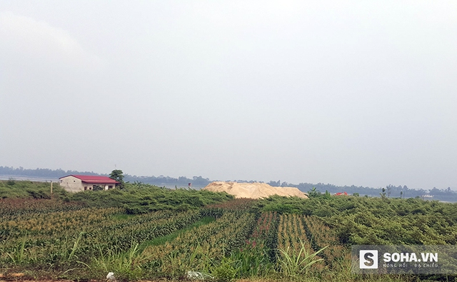 
Những bến bãi mọc lên như nấm sau mưa trên bãi sông, xâm phạm nghiêm trọng hành lang thoát lũ và đang đè lên pháp luật.
