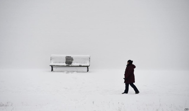 Người phụ nữ đi dọc bờ sông Spree phủ đầy tuyết trắng tại thành phố Berlin, Đức.