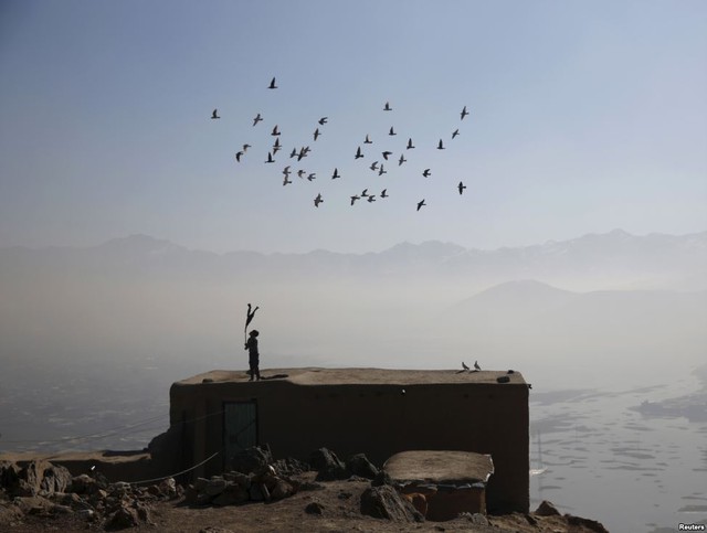 Cậu bé thả chim bồ câu được thuần hóa trên mái nhà ở ngoại ô thành phố Kabul, Afghanistan.