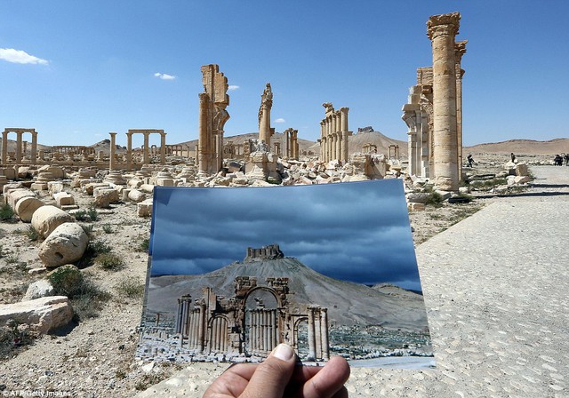 
Sự thay đổi của khải hoàn môn ở Palmyra sau 2 năm.
