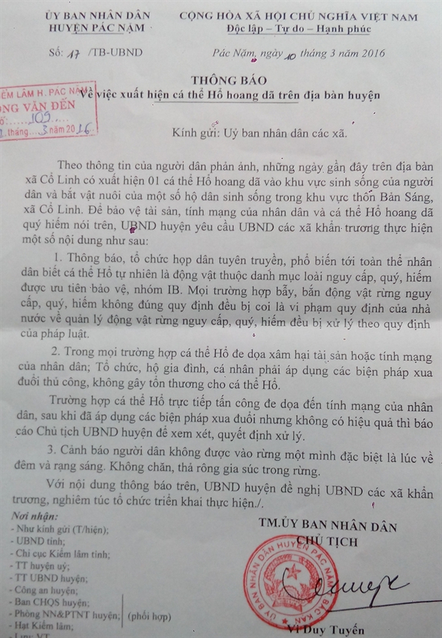 Thông báo của UBND huyện Pác Nặm về việc xuất hiện cá thể hổ