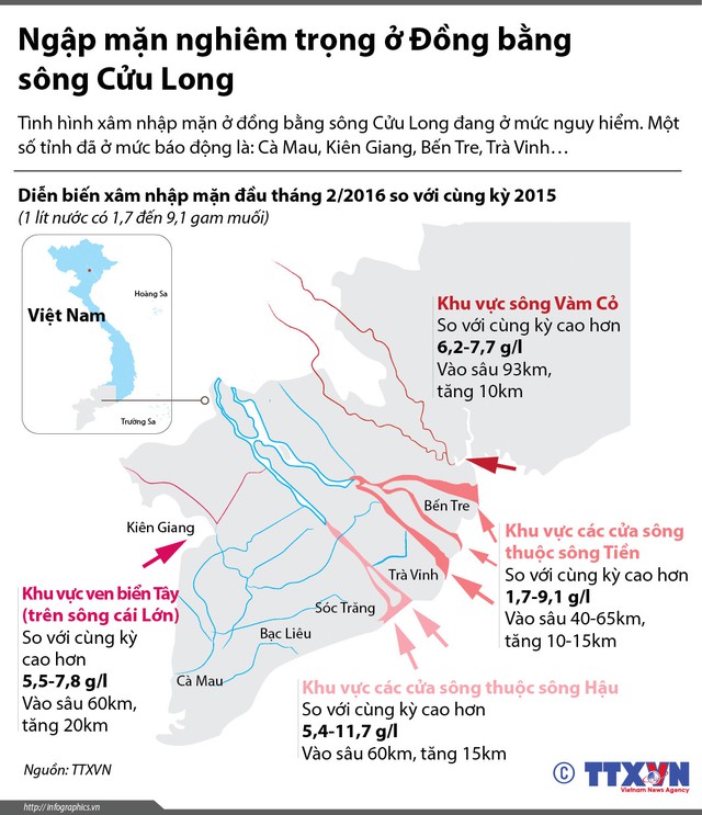 Biểu đồ tình hình ngập mặn tại các tỉnh đồng bằng sông Cửu Long. Đồ họa: TTXVN