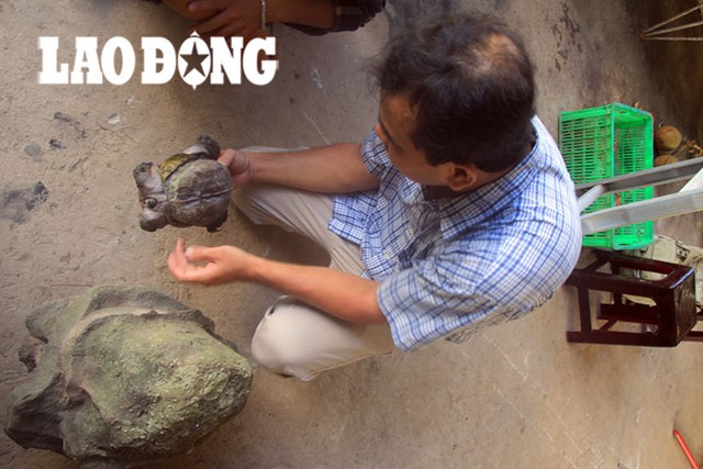 Anh Tuấn cùng con rùa lạ và hòn đá người chú lấy từ đảo Hòn Khoai. Ảnh: Lao động