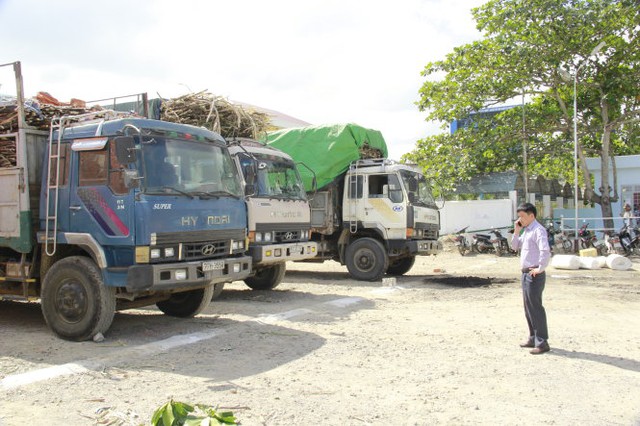 
Ông Nguyễn Hữu Quế kiểm tra, yêu cầu xử lý đoàn xe quá tải qua mặt thanh tra giao thông để chạy về nhà máy đường - Ảnh: B.D.
