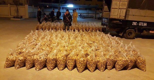 
1,6 tấn bánh quy không rõ nguồn gốc bị bắt giữ. Nguồn: Tổ công tác Y9/141, Công an thành phố Hà Nội.  
