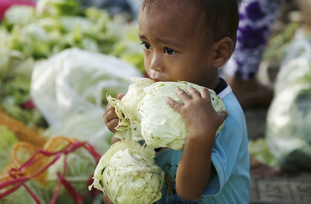 Bé trai ngồi ôm cải bắp tại khu chợ Duri ở Jakarta, Indonesia.