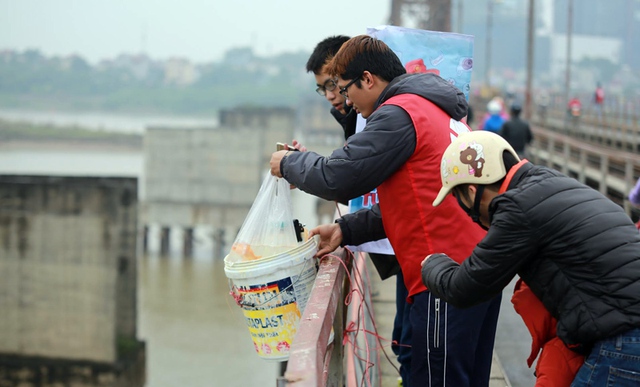 Nhóm thanh niên thả nguyên một thùng cá chép từ trên cầu Long Biên xuống sông Hồng. Ảnh: Phạm Hải
