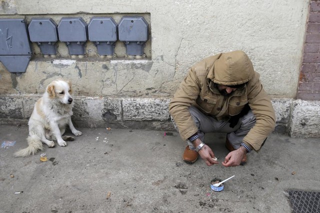 
Chó ngồi gần người di cư đang ăn cá ngừ đóng hộp và bánh mì tại một nhà ga ở Presevo, Serbia.
