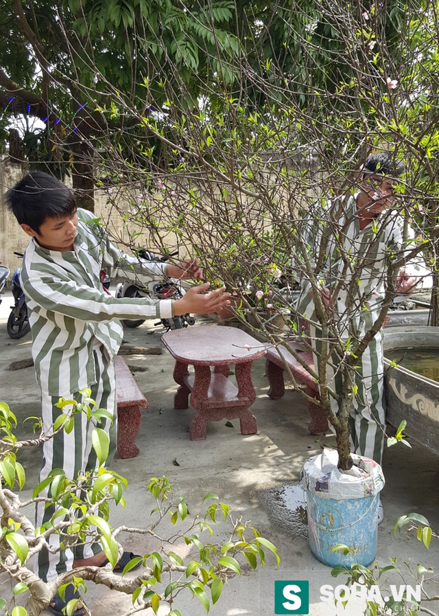 
Những phạm nhân lao động tự giác dễ lọt vào mắt xanh của các phạm nhân nữ (Ảnh minh họa)
