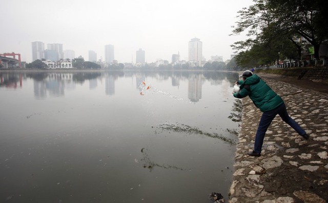 Thả cá chép ở hồ Hoàng Cầu (quận Đống Đa). Ảnh: Phạm Hải 