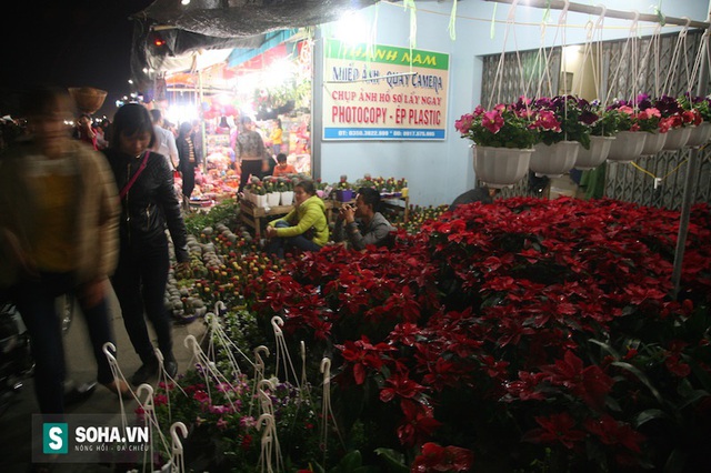 
Mặt hàng cây cảnh mini cũng bán rất chạy chong lễ hội chợ Viềng năm nay.
