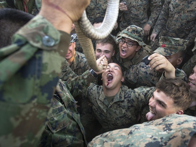 Một lính thủy đánh bộ Mỹ uống máu rắn hổ mang trong cuộc tập trận chung Hổ mang vàng 2016 được tổ chức tại Ban Chan Krem, Thái Lan.