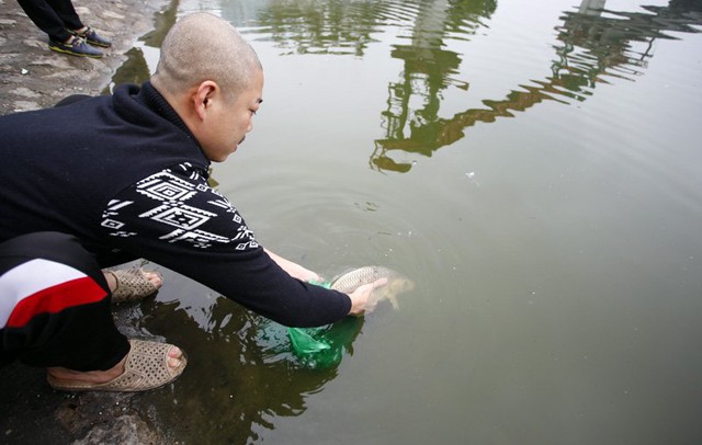 Người đàn ông này thả 1 con cá chép nhưng là cá chép to nặng hơn 1kg. Ảnh: Phạm Hải
