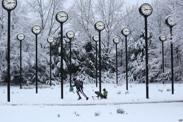Người đàn ông kéo xe chở trẻ em trên tuyết trong công viên đồng hồ ở thành phố Düsseldorf, Đức.