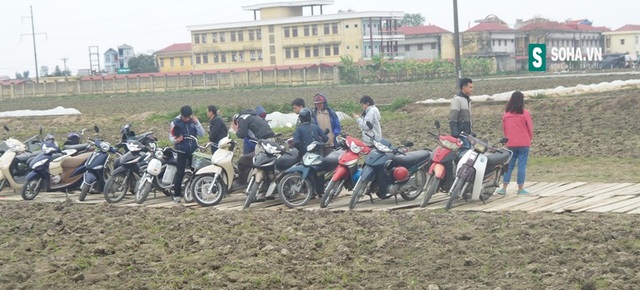 
Một số hộ dân ở xã Trung Thành còn tận dụng diện tích đất ruộng gần với mặt đường quốc lộ để làm bãi gửi xe.
