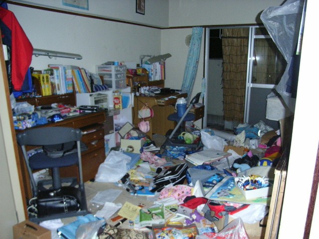 
Sau nhiều năm sống trong đống lộn xộn, tháng 7/2011, một ông bố hai con đã lập blog và đăng hình căn nhà ngập tràn rác rưởi của mình lên để tự khiến mình xấu hổ mà đi dọn dẹp.
