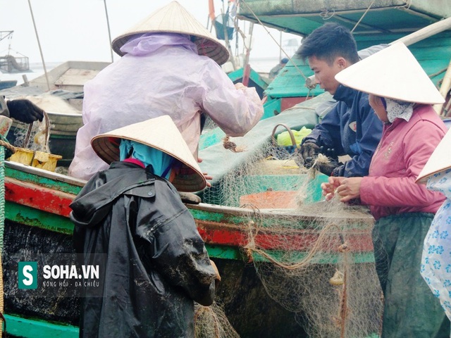 
Ngư dân đang nhanh chóng gỡ các loại hải sản như cá, tôm... ra khỏi lưới để phục vụ nhu cầu của những người dân đang chờ bên trong đê biển để thua mua.
