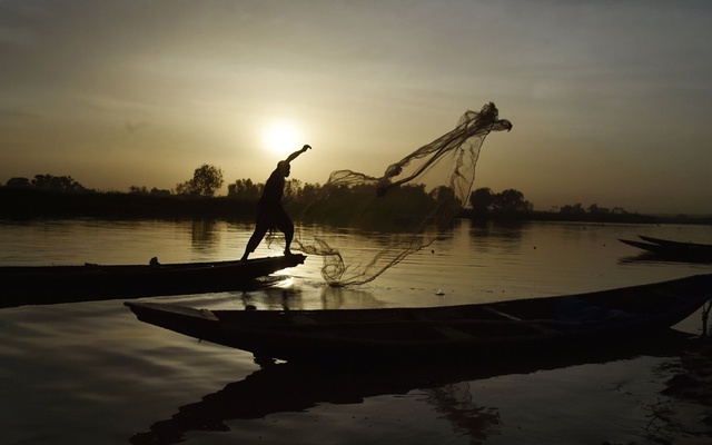 Ngư dân quăng chài đánh cá trên sông ở thành phố Niamey, Niger.