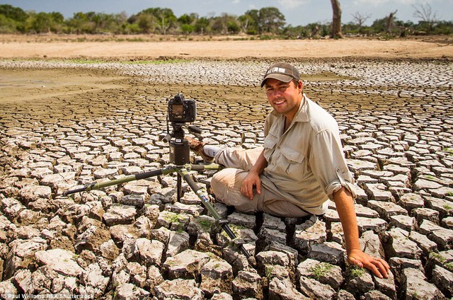 
Nhà nhiếpảnh Paul Williams kiên trì chầu trực chụp ảnh đàn chim vẹt giữa vùng đất khô hạn
