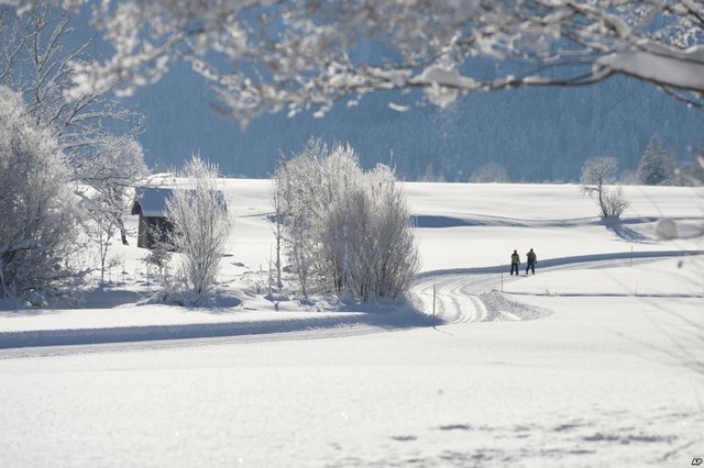 Mọi người trượt tuyết trên thảo nguyên phủ tuyết trắng muốt ở Lofer, Áo.