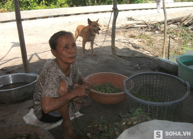 
Tết đến hay không, cũng như nhau cả thôi...
