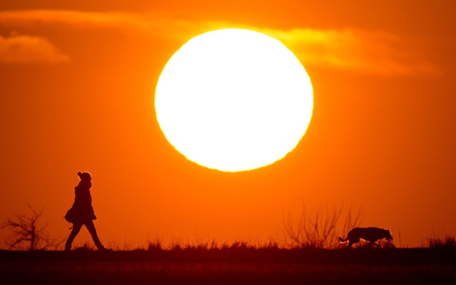 Người phụ nữ đi dạo cùng chó dưới nắng chiều muộn tại vùng ngoại ô ở thành phố Hanover, Đức.