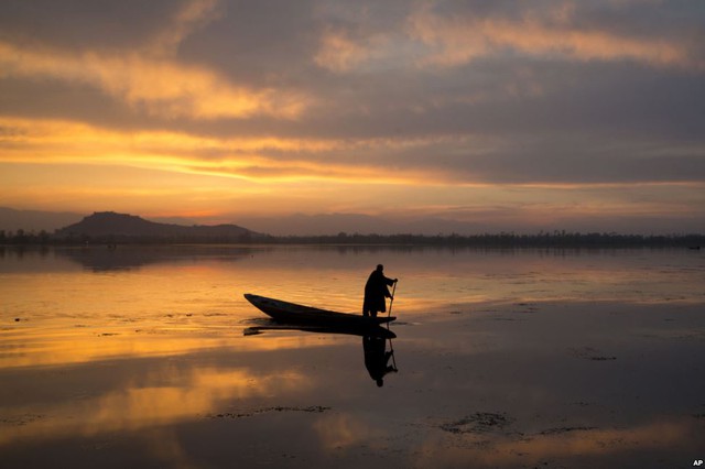 Ngư dân chèo thuyền trên hồ Dal Lake ở Srinagar, Ấn Độ.