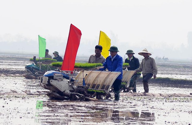 
Bà con nông dân thôn Phong Triệu, xã Nam Triều, rất phấn khởi và tin tưởng vụ xuân năm nay sẽ thành công
