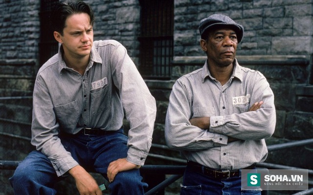 
3. The Shawshank Redemption (Nhà tù Shawshank)

Trong bộ phim điện ảnh đầu tay của mình, đạo diễn Frank Darabont kể một câu chuyện diệu kỳ về tình bạn tại chốn tù giam theo một cách đơn giản nhất nhưng cũng đẹp nhất. Từng suýt bị chối bỏ khi mới ra mắt, trắng tay tại các lễ trao giải, nhưng sau hơn 20 năm, The Shawshank Redemption đã trở thành một tác phẩm điện ảnh yêu thích nhất của hàng triệu người. Năm 2008, IMDb đã chọn ra danh sách những bộ phim vĩ đại nhất của mọi thời đại. The Shawshank Redemption xếp ở vị trí đầu tiên cùng The Godfather với số điểm 9.0 đáng kinh ngạc.
