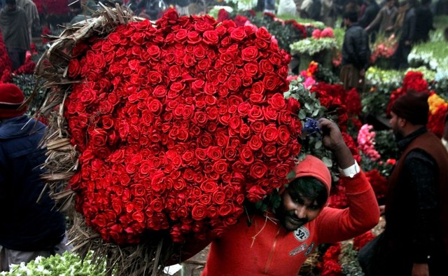 Người lao động vác một bó hoa hồng đỏ tại một chợ hoa ở Lahore, Pakistan.