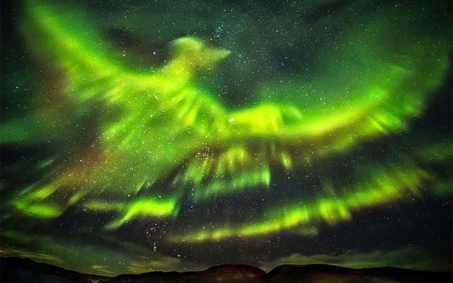 Bức ảnh bắc cực quang hình giống chim phượng hoàng khổng lồ trên bầu trời Iceland.