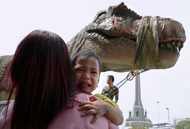 Em bé khóc òa vì sợ khi nhìn thấy mô hình với kích thước như thật của chú khủng long T rex tại một công viên ở Bangkok, Thái Lan.