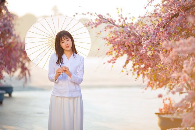 Trong bộ ảnh này, Kiều Trinh hóa thân thành thiếu nữ Nhật xinh đẹp dạo chơi bên vườn hoa anh đào