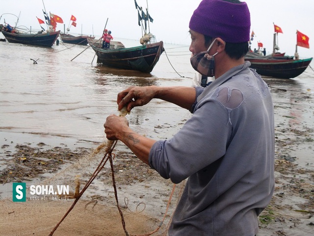 
Để cho các loại hải sản như tôm thuyền, cua... còn sống và tươi ngon, sau khi thuyền vào bờ ngư dân phải nhanh chóng gỡ ra khỏi lưới.
