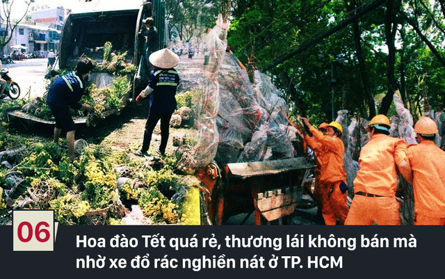 
Một tờ báo đã giật tít bài với tựa đề Còn nỗi đau nào hơn? để nói về vấn đề này. Theo đó, thương lái lý giải rằng: Thà vứt bỏ chứ không bán rẻ. Thà chặt phá, cho xe hốt rác, chứ không bỏ lại cho nhiều kẻ keo kiệt, nhằm lúc hết giờ để đi …hôi”. (Ảnh: Lao động)
