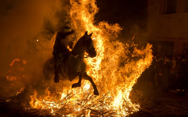 Kỵ sĩ điều khiển ngựa nhảy qua đống lửa tại lễ hội truyền thống Luminarias ở ngôi làng San Bartolome de Pinares, Tây Ban Nha.