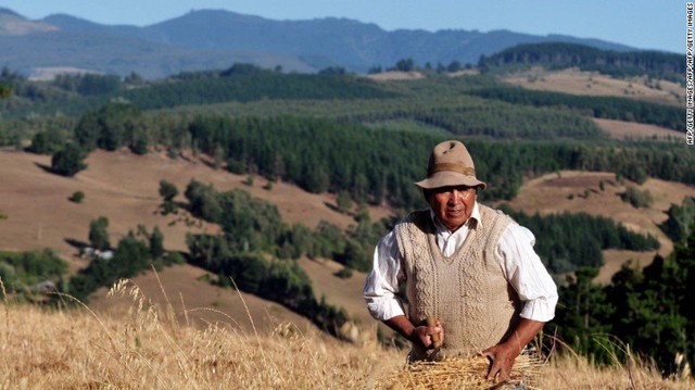 
Thảo nguyên bát ngát tại Mapuche
