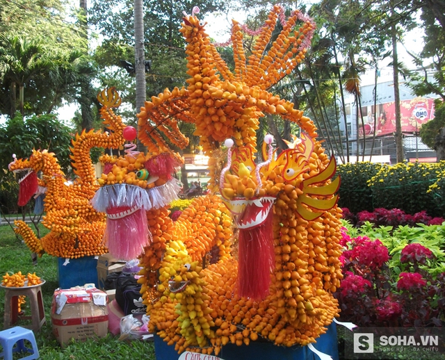 
Theo chủ gian hàng, trái dư quanh năm chỉ có một mùa, không ăn được. Cây dư khó trồng vì gai mọc toàn thân nên số lượng có hạn. Giá bán 1 ký tùy lớn nhỏ dao động từ 100 – 120.000đ. Giàn kiểng tứ linh của anh có giá 15 triệu.
