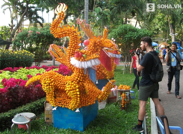 
Từ Chợ Lách (Bến Tre), anh Hảo mang lên bộ kiểng tứ linh (Long, Lân, Quy, Phụng) được kết từ trái dư khiến nhiều người tò mò tìm đến xem và chụp hình lưu niệm.
