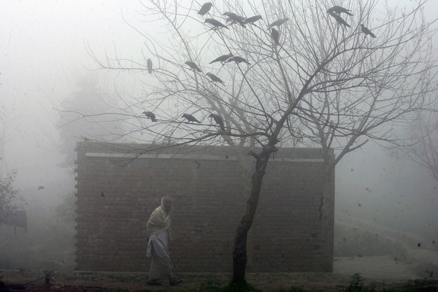 Sương muối bao phủ thành phố Lahore, Pakistan.