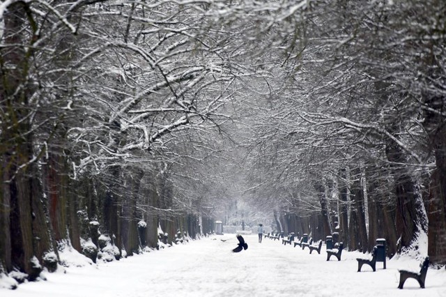 Người phụ nữ chạy bộ trong công viên phủ đầy tuyết trắng ở thành phố Munich, Đức.