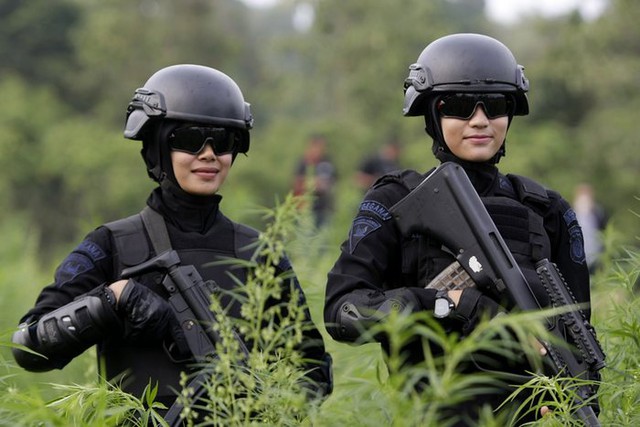 Các nữ cảnh sát chống ma túy đứng gác trên cánh đồng cần sa ở Aceh Besar, Indonesia.