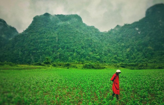 
Cảnh đẹp nơi đoàn phim quay ở Quảng Bình. Ảnh: đạo diễn Jordan Vogt Robert đăng tải trên mạng.
