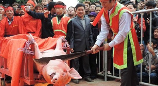 Lễ hội chém lợn tại làng Ném Thượng năm 2014. Ảnh: PLTPHCM.