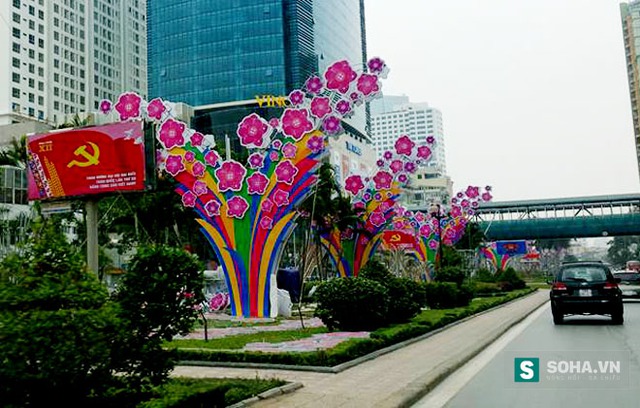 
Các cây đào trang trí trên đường Nguyễn Chí Thanh.
