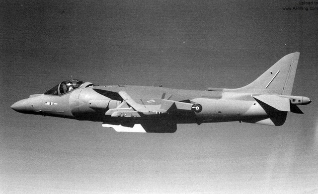 
Nguyên mẫu của AV-8B+, để ý phần mũi máy bay to và dài hơn do nó được trang bị radar AN/APG-65 thay vì hệ thống ngắm bom định góc Huges ASB-19
